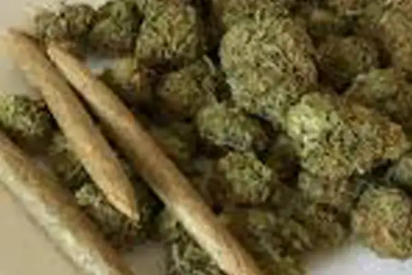 Billede af Hash, Pot og Skunk som kan købes på apoteker og på "coffieshops"